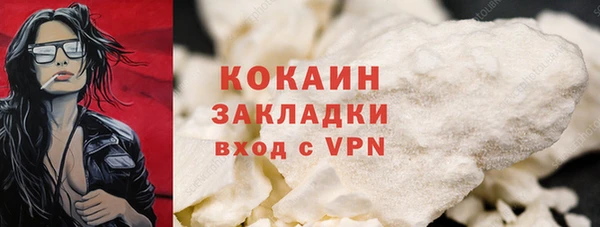 гашик Белокуриха