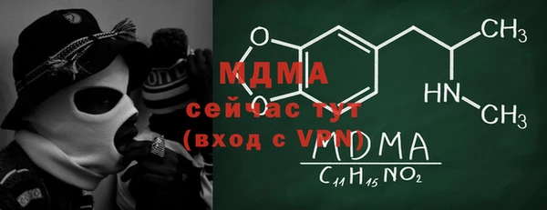 гашик Белокуриха
