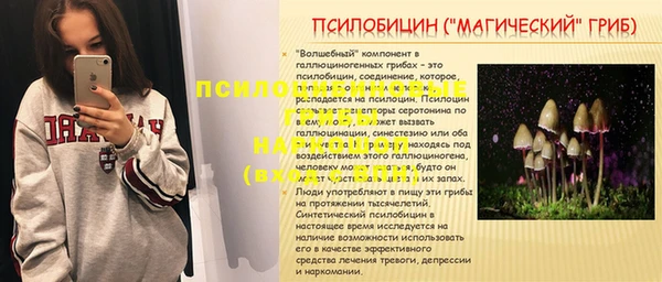 гашик Белокуриха