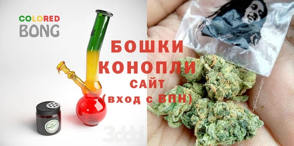 гашик Белокуриха