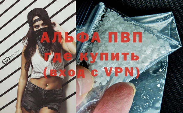 гашик Белокуриха